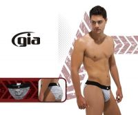 Gray Brief